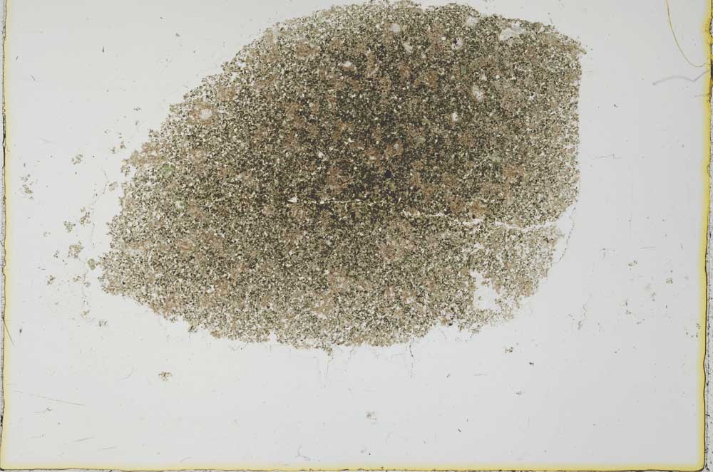 Plane Polarized, S26614