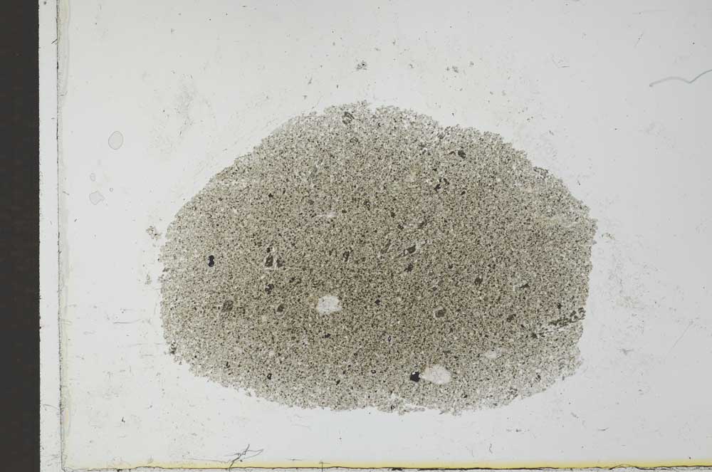 Plane Polarized, S26616