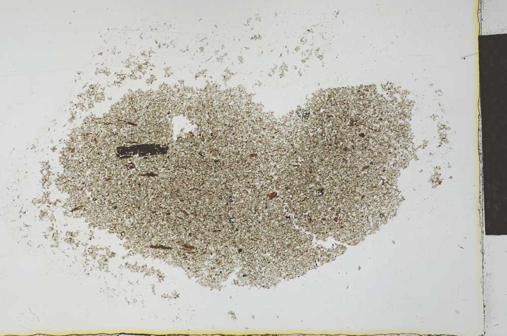 Plane Polarized, S26617