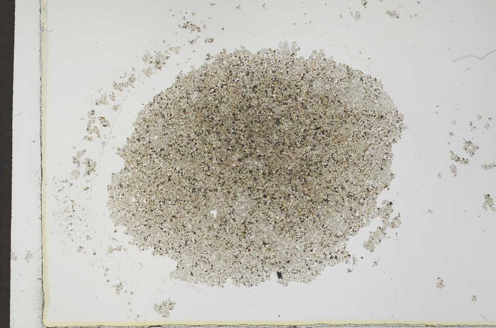 Plane Polarized, S26619