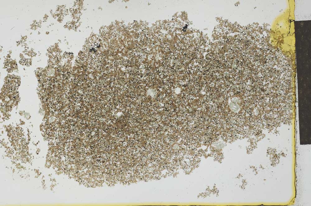 Plane Polarized, S26622