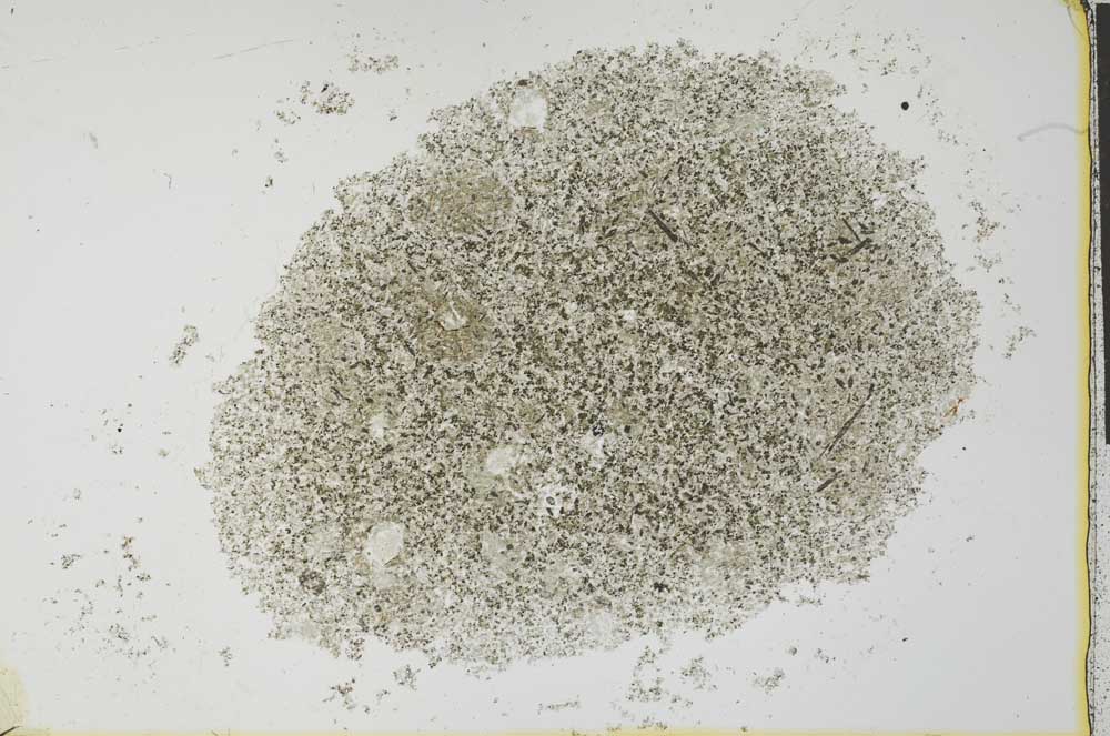 Plane Polarized, S26623