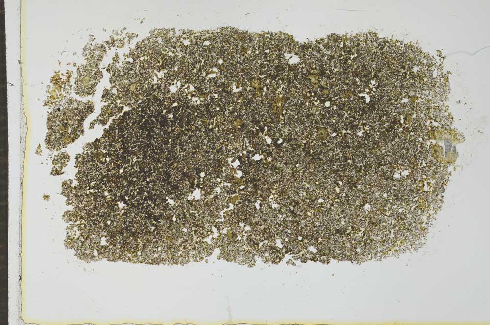 Plane Polarized, S26624