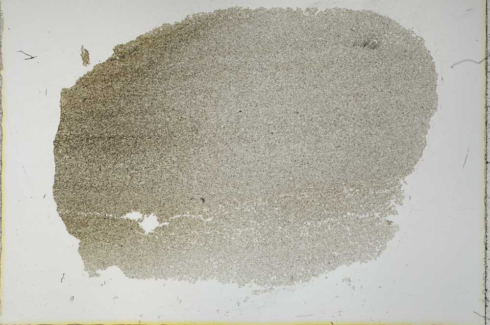 Plane Polarized, S26626