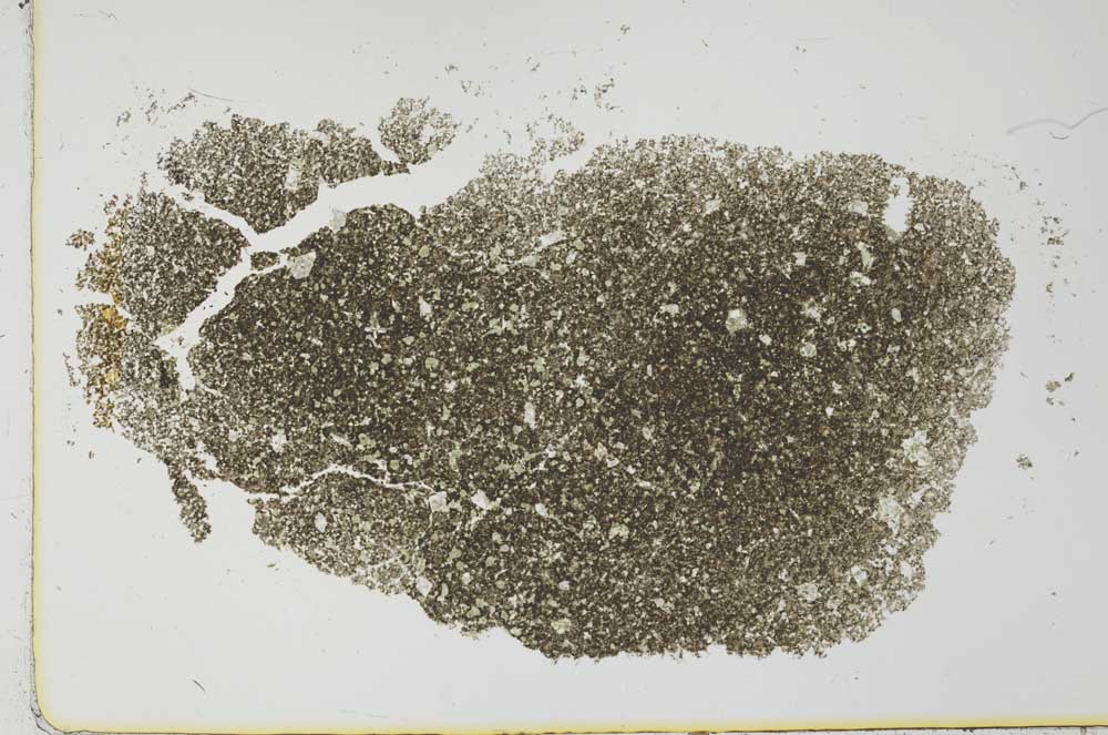 Plane Polarized, S26627