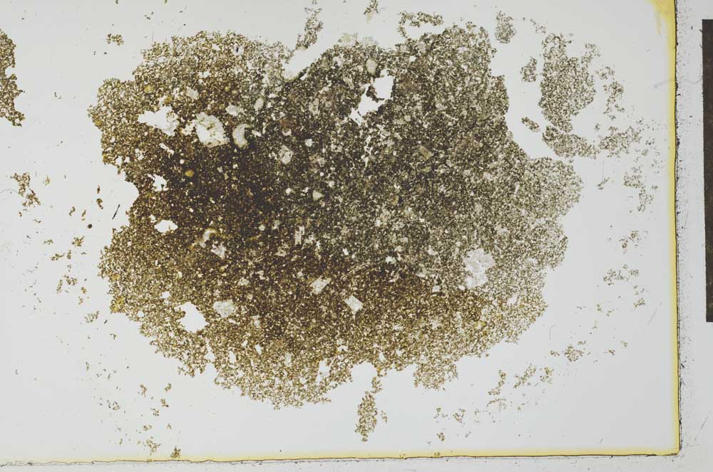 Plane Polarized, S26628