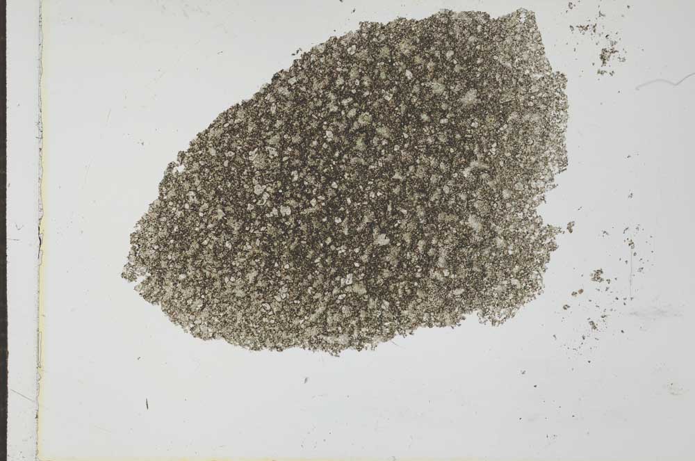 Plane Polarized, S26636