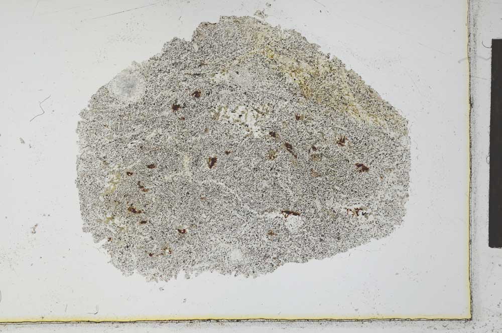 Plane Polarized, S26740