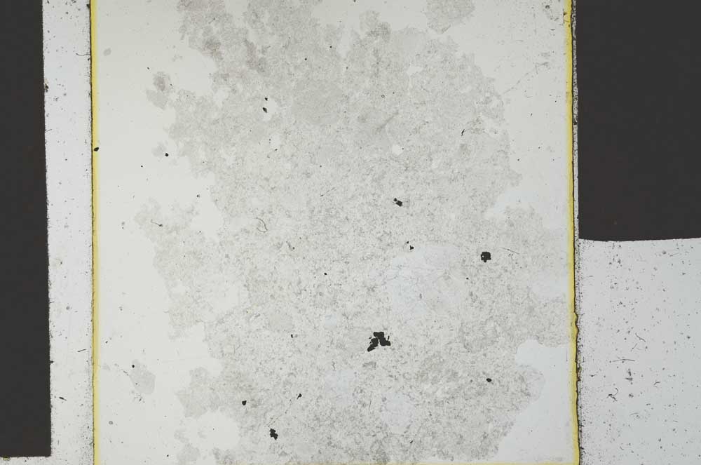 Plane Polarized, S26750