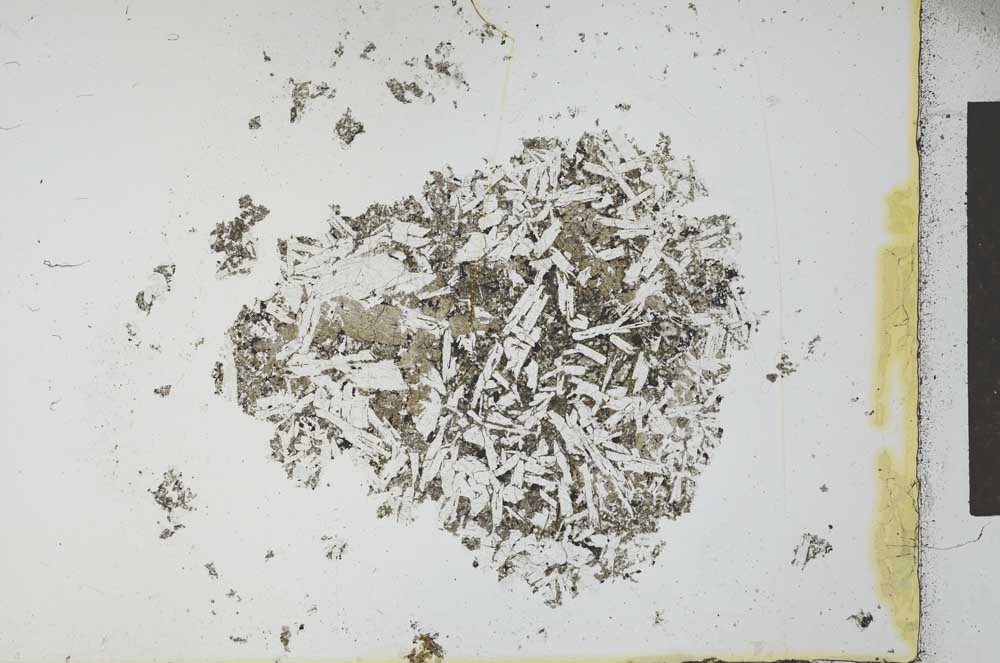 Plane Polarized, S26763