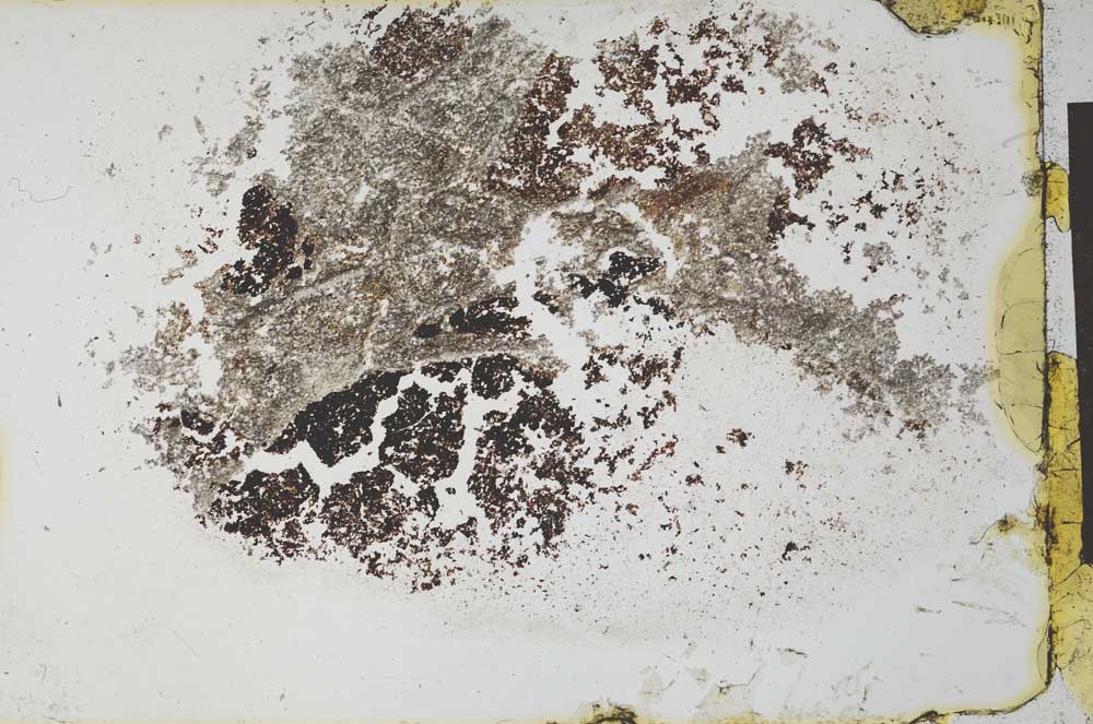 Plane Polarized, S26767