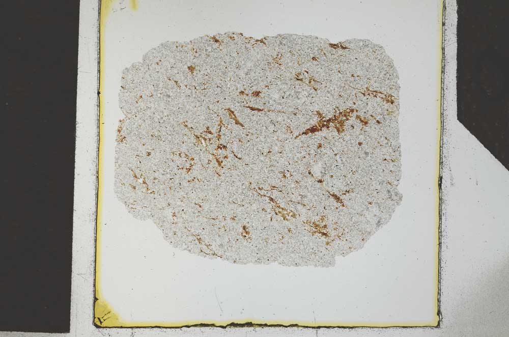 Plane Polarized, S26773