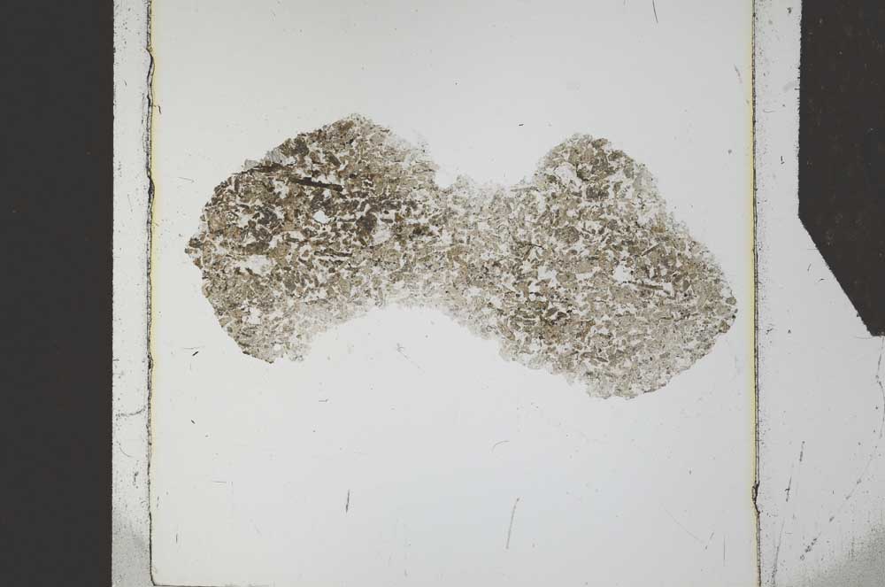 Plane Polarized, S26779