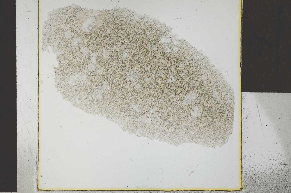 Plane Polarized, S26784