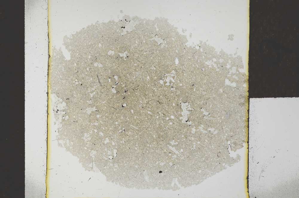 Plane Polarized, S26785