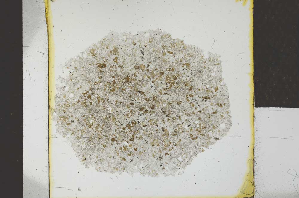 Plane Polarized, S26787