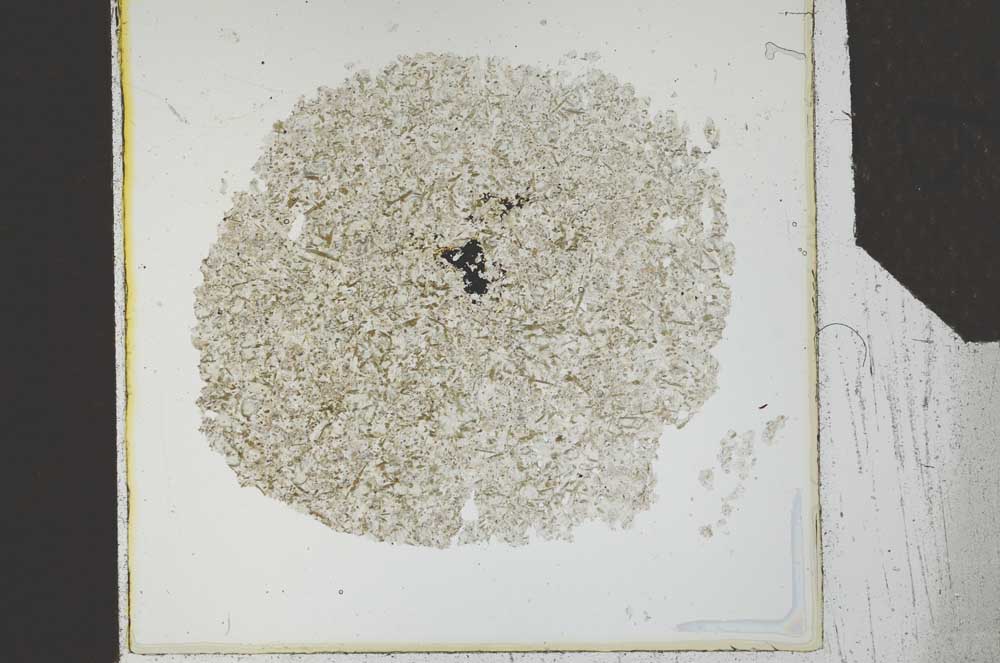 Plane Polarized, S26791