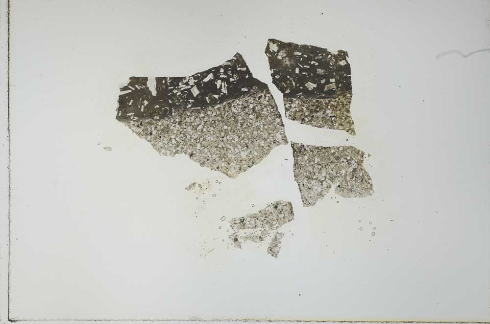 Plane Polarized, S26890