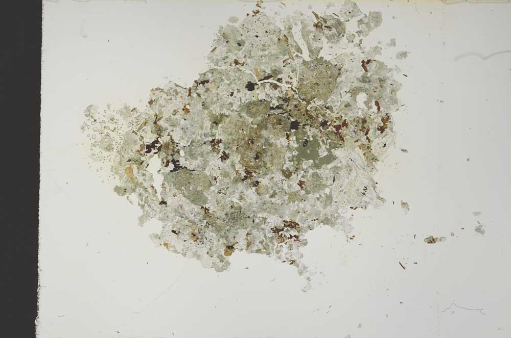 Plane Polarized, S26898