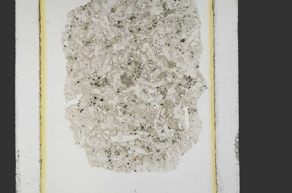 Plane Polarized, S26900