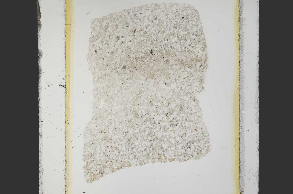 Plane Polarized, S26901