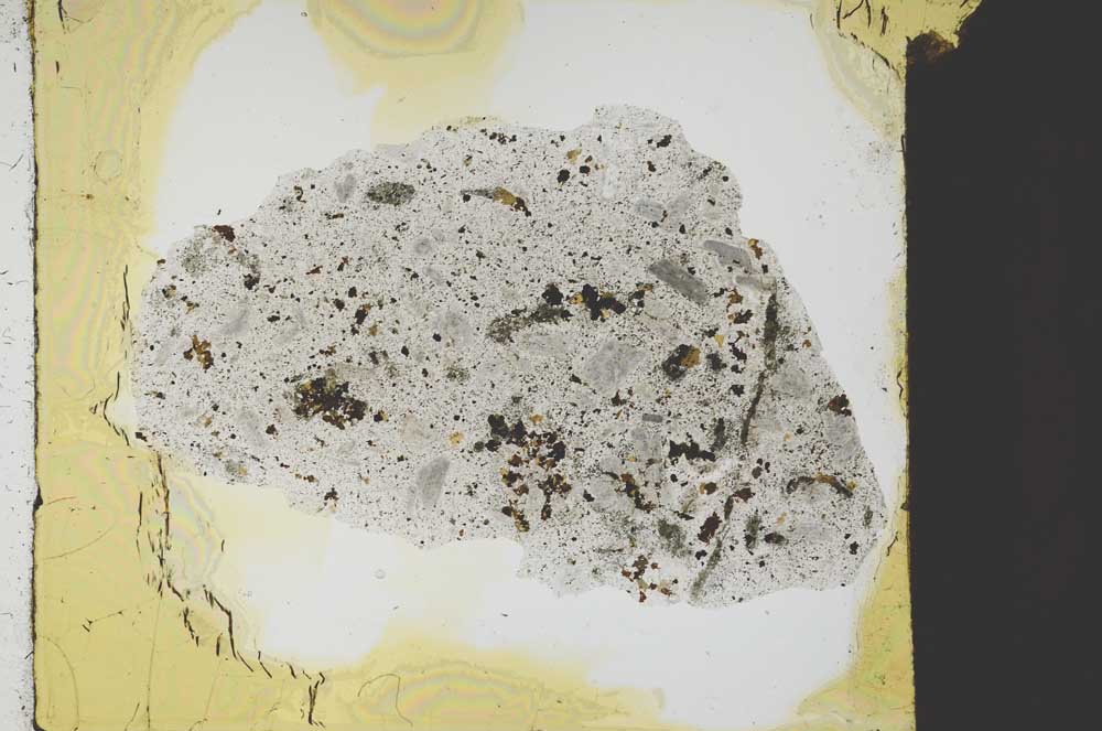 Plane Polarized, S26917