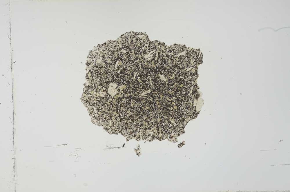 Plane Polarized, S26922