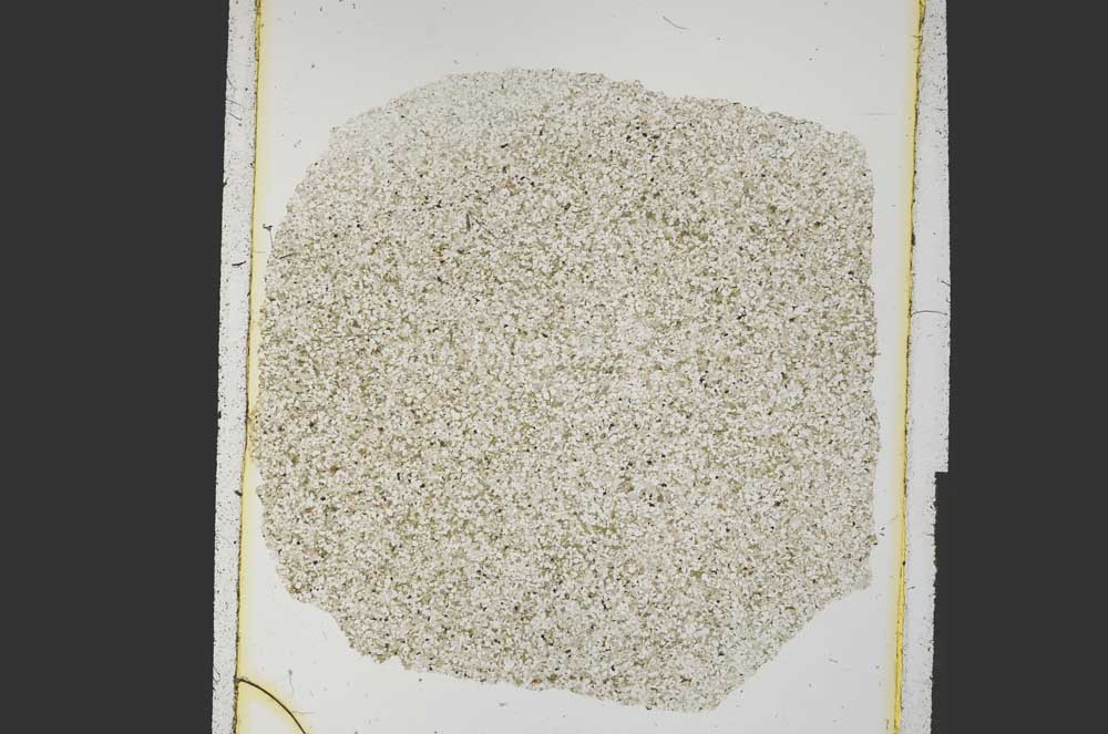 Plane Polarized, S26961