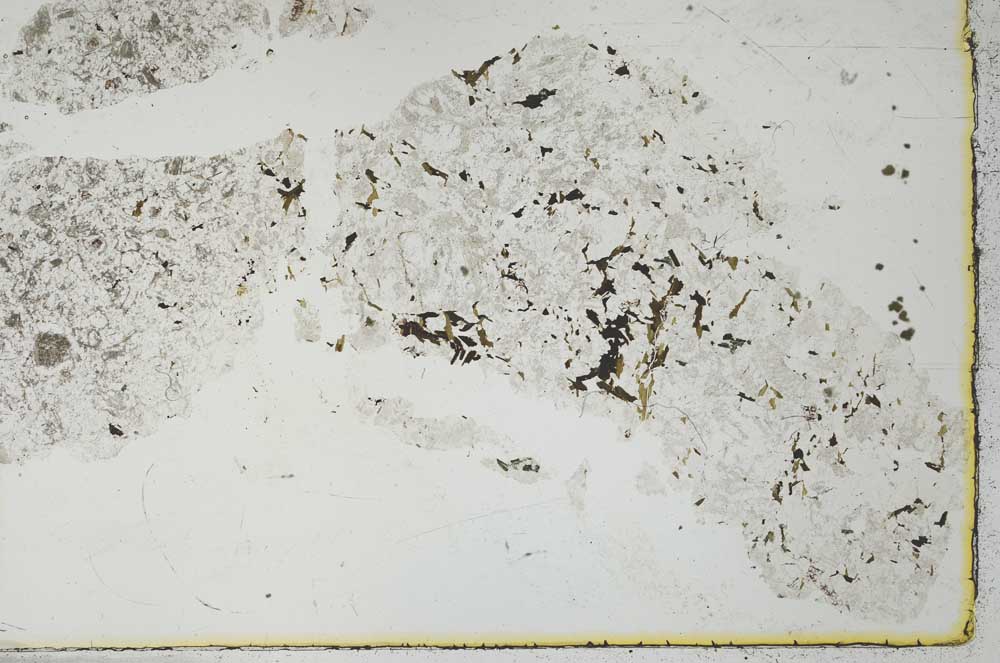Plane Polarized, S26967