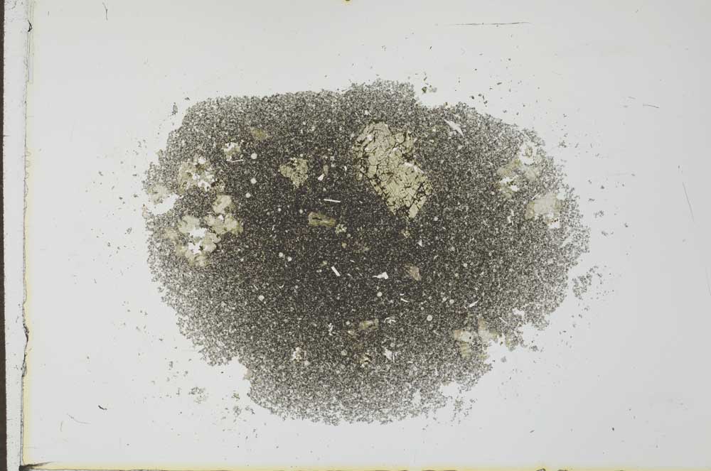 Plane Polarized, S26984