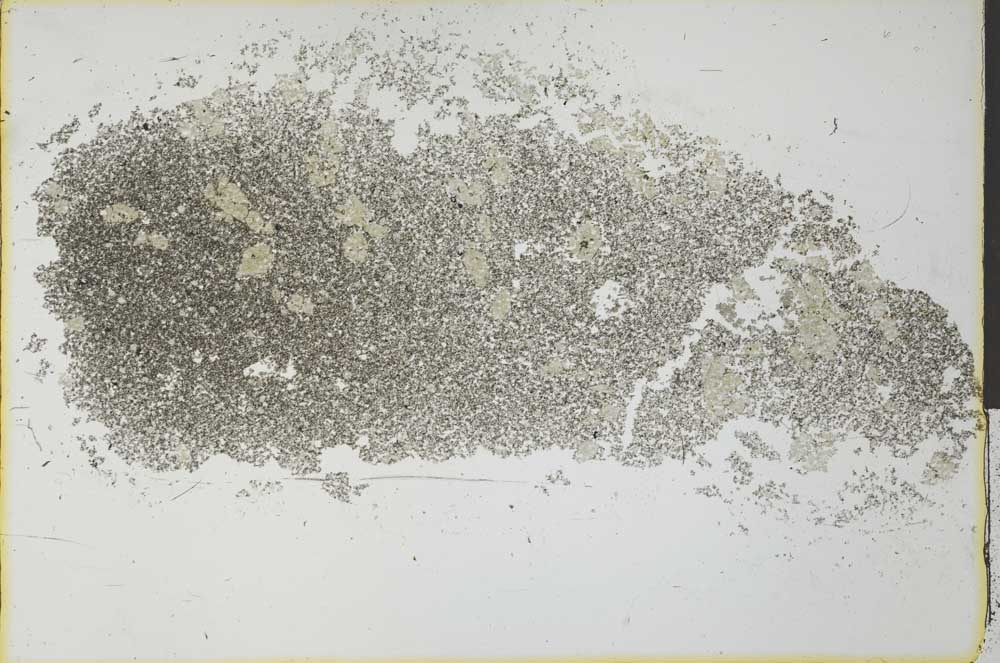 Plane Polarized, S26986