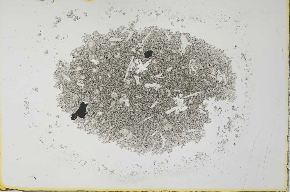 Plane Polarized, S26987