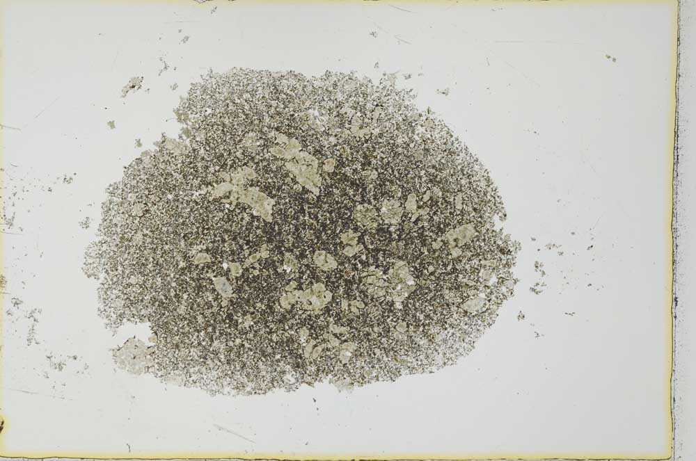 Plane Polarized, S26988