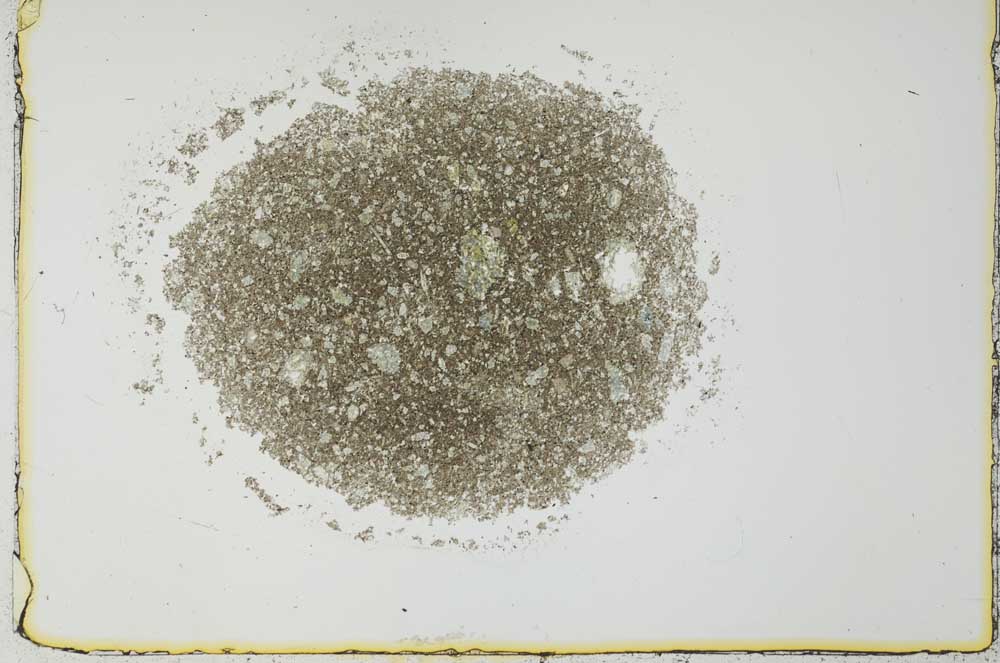 Plane Polarized, S26990