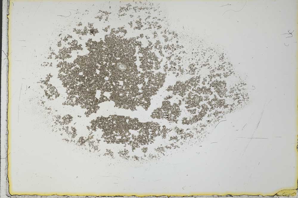 Plane Polarized, S26992