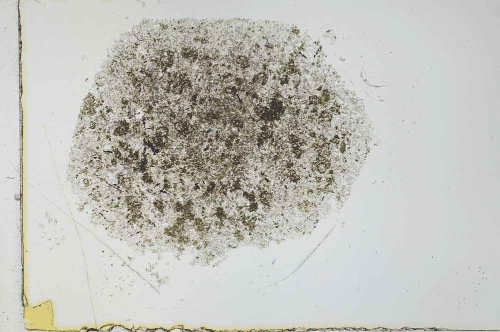 Plane Polarized, S27001