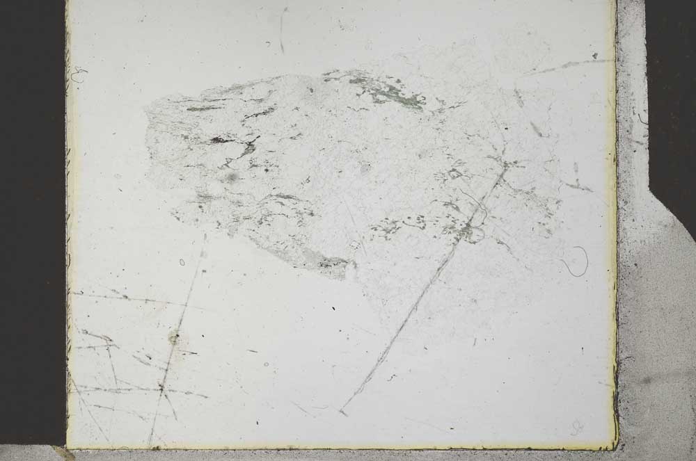 Plane Polarized, S27014