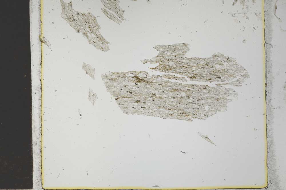 Plane Polarized, S27017