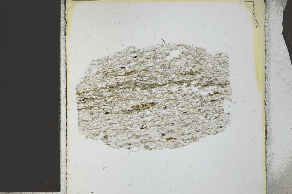 Plane Polarized, S27019