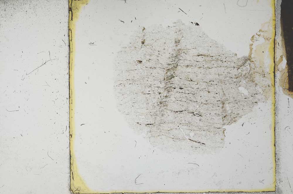 Plane Polarized, S27024