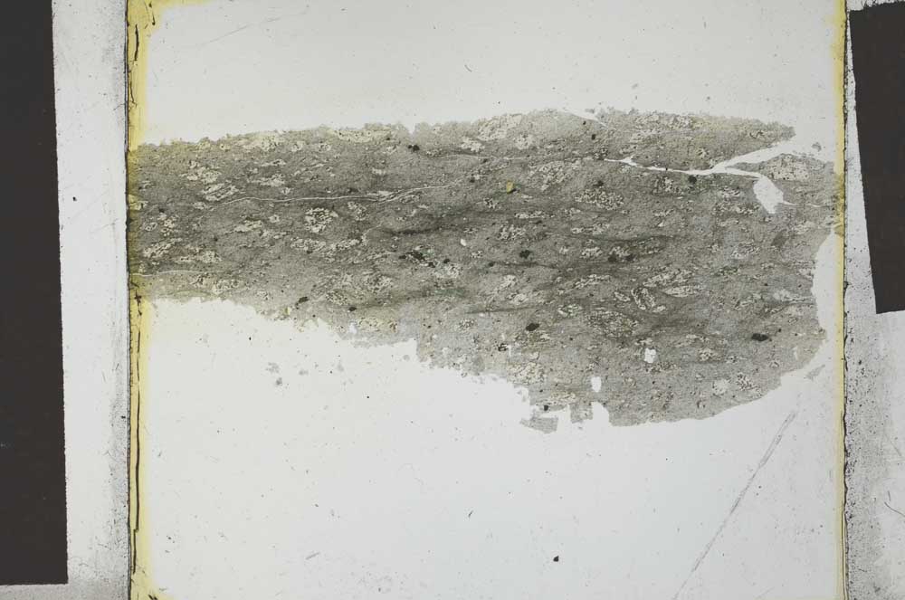 Plane Polarized, S27034