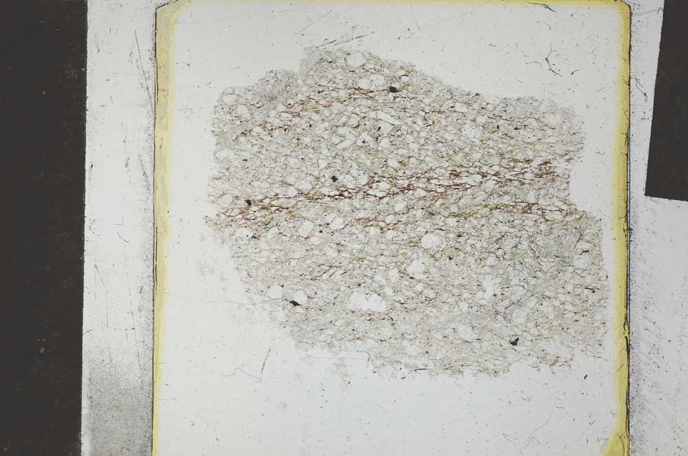 Plane Polarized, S27035