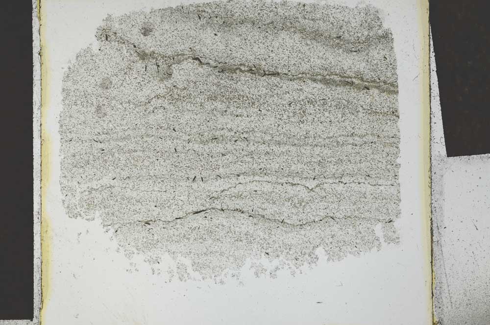 Plane Polarized, S27037