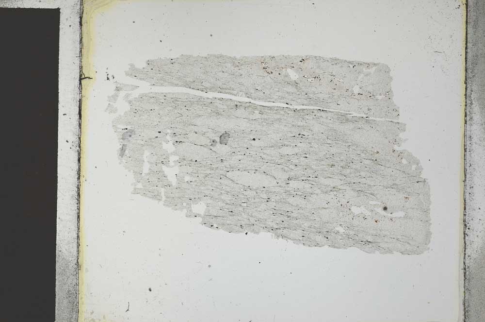 Plane Polarized, S27042