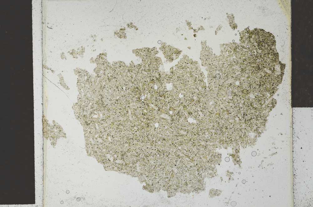Plane Polarized, S27043