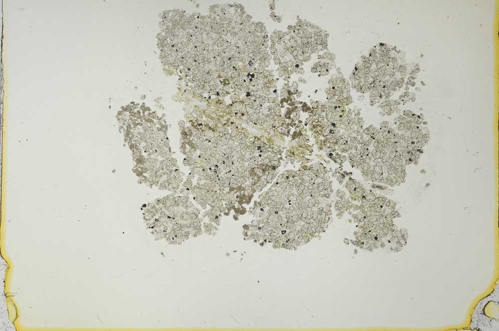 Plane Polarized, S27068