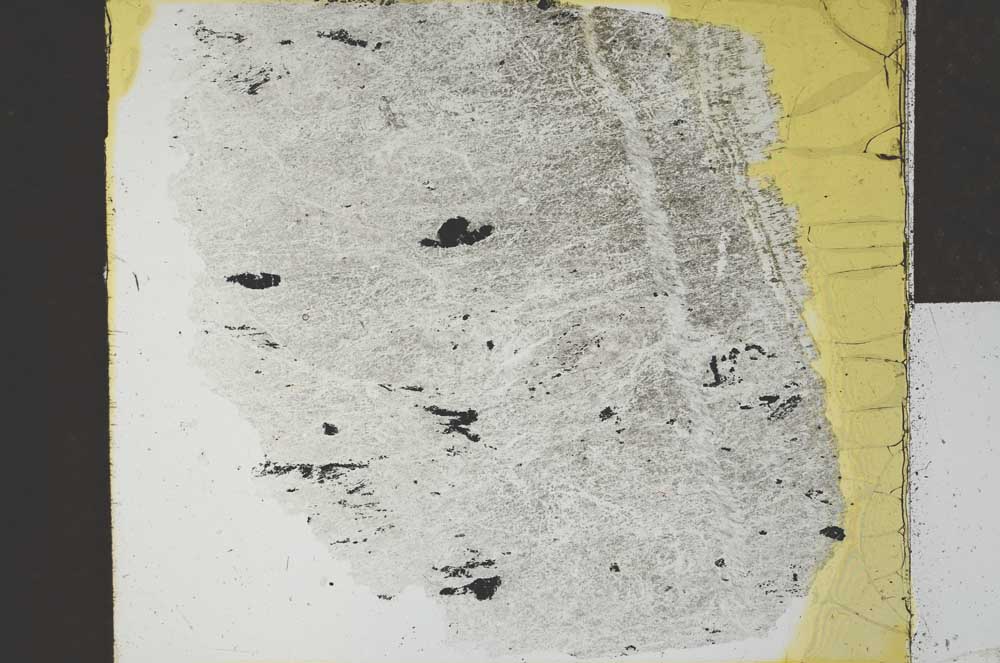 Plane Polarized, S27096