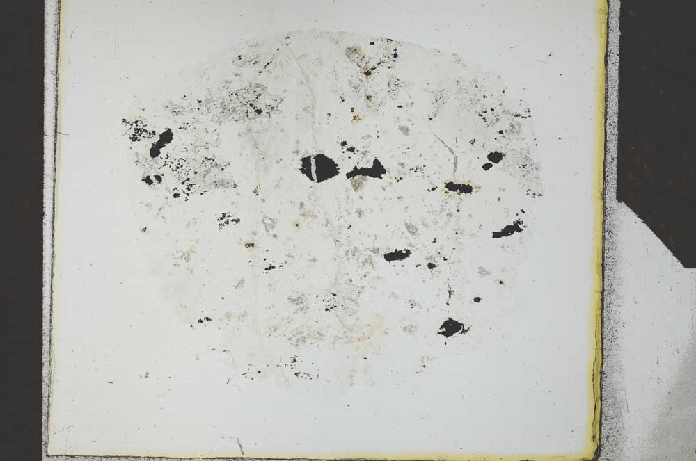 Plane Polarized, S27101