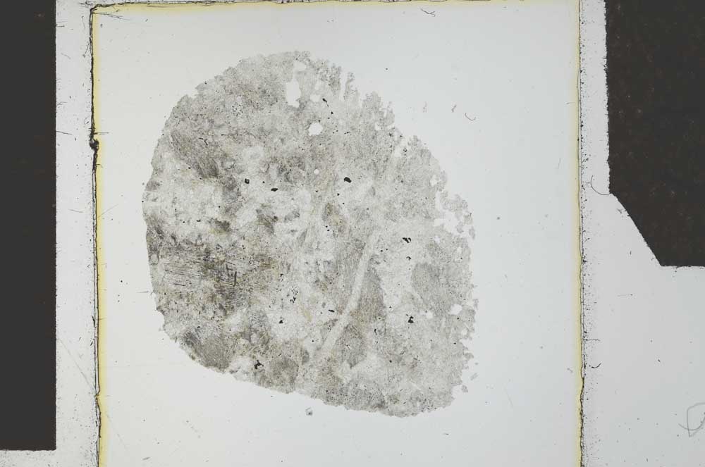 Plane Polarized, S27104