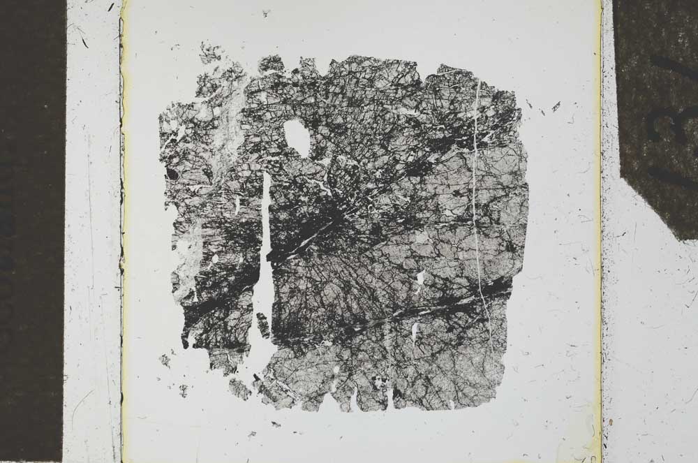 Plane Polarized, S27106